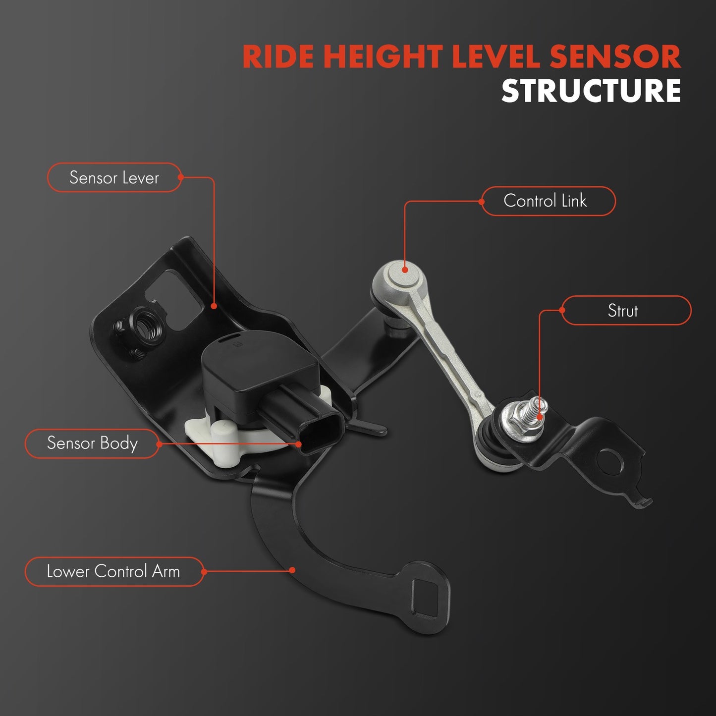 Rear Driver or Passenger Side Ride Height Level Sensor for Honda Civic 2017-2021