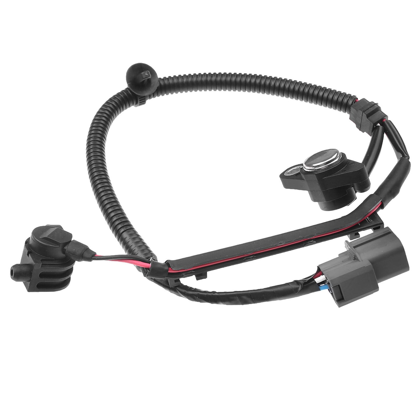 Crankshaft Position Sensor for Honda Accord Odyssey Prelude Acura CL Isuzu Oasis