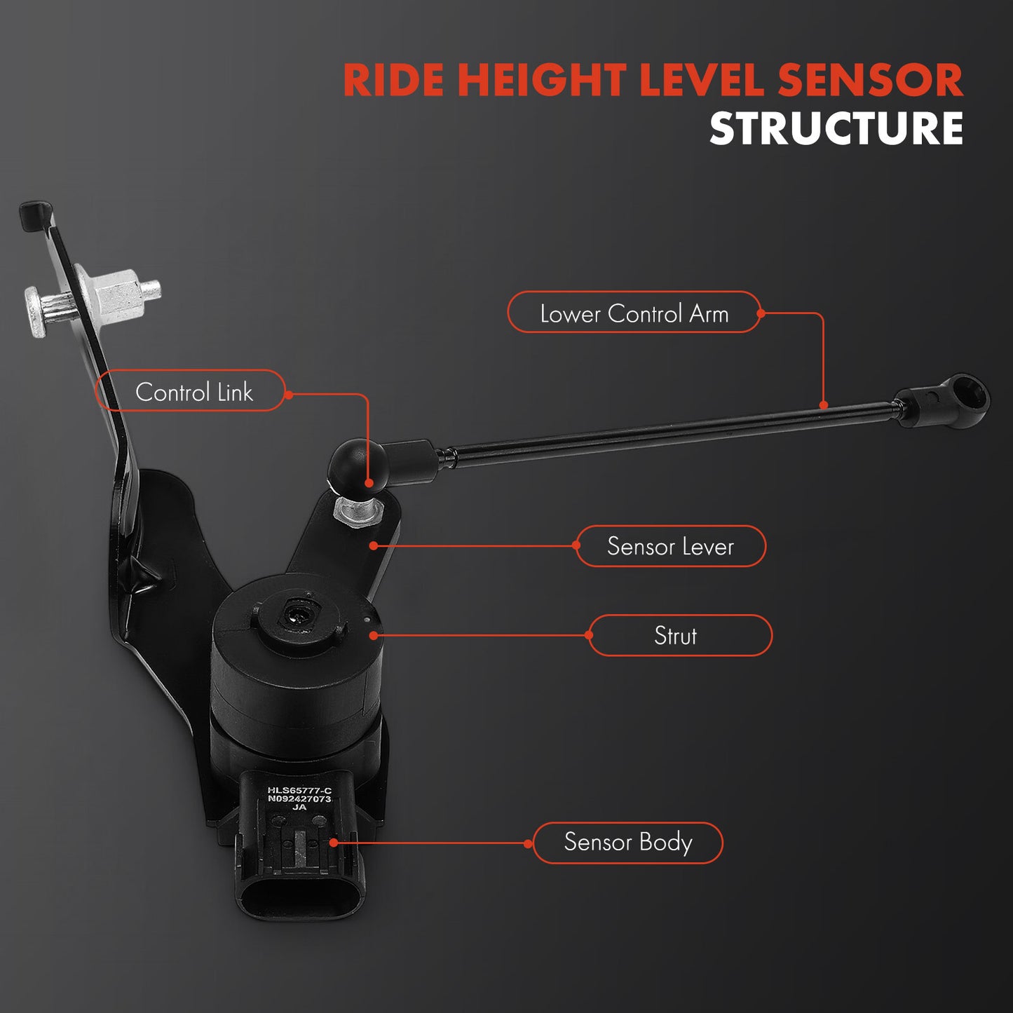 Front Right Black Height Level Sensor for GMC Acadia Buick Enclave Cadillac XT5