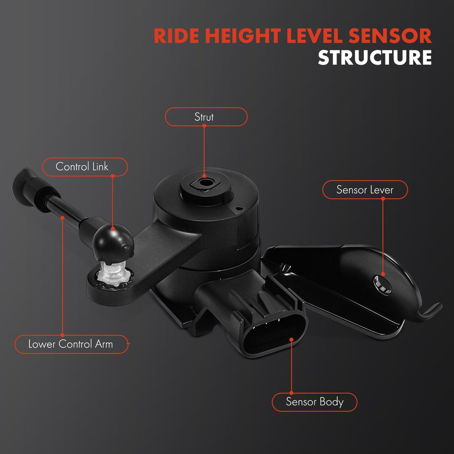 Front Passenger Black Height Level Sensor for RAM 1500 2019 V8 5.7L 68277070AD